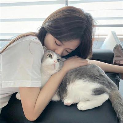 捣婚计划